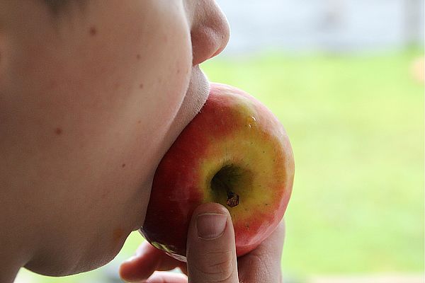 La importancia de la masticación: cómo influye en el crecimiento facial, el desarrollo cerebral y la salud futura de tu hijo