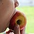 La importancia de la masticación: cómo influye en el crecimiento facial, el desarrollo cerebral y la salud futura de tu hijo